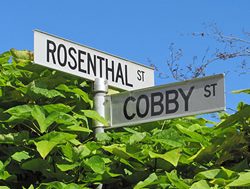 Public chance to suggest new street names