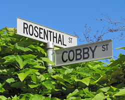 Public chance to suggest new street names