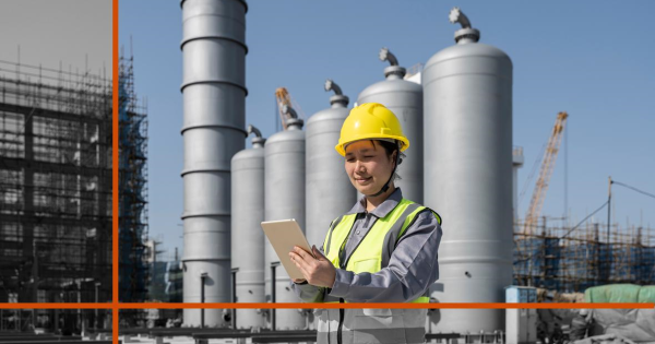 Why do large projects go over budget?