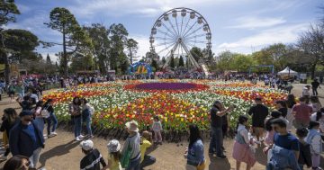 Floriade in bloom: Australia’s significant spring celebration