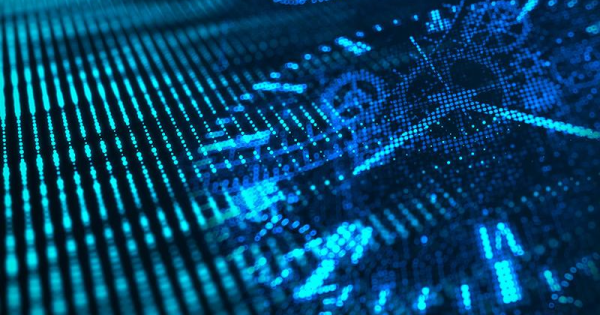 Audit finds social payments ‘partly effective’