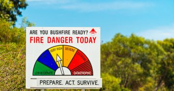 South Australia takes action on bushfire risk as residents encouraged to have survival plan