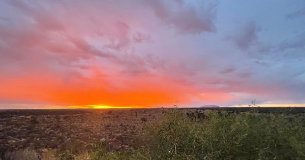 Boost needed as Uluru visitor numbers remain below long-term averages