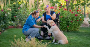 Peak SA carers body welcomes review of state laws to better recognise unpaid carers