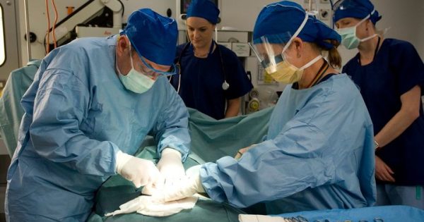 Discussion paper highlights innovative approaches to healthcare workforce and productivity