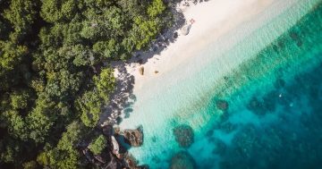 Garner the benefits of a rainforest and reef adventure in Queensland