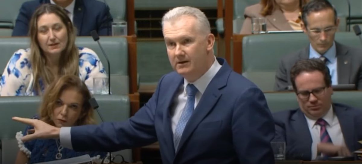 Tony Burke speaking in Parliament
