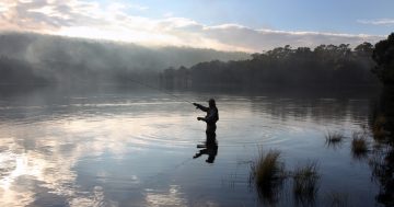 Moves to secure fishing in Tasmania for the next generation