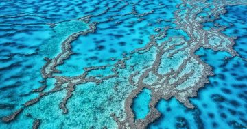 Federal Government commits more funding to improve Great Barrier Reef water quality