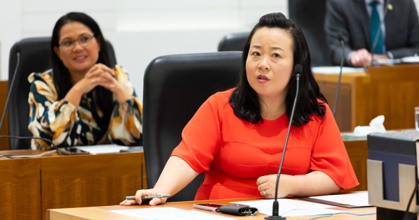 ACT Treasurer Barr accused of 'providing misleading information' to committee inquiry into 2023/24 budget