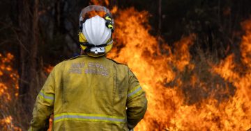 Bushfire warning app Hazards Near Me adds new incident status