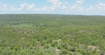 Ambitious Darwin water storage and supply project progresses