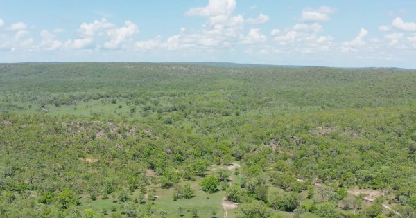 Ambitious Darwin water storage and supply project progresses