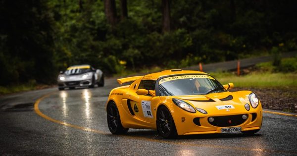 Iconic TARGA Tasmania motorsport event postponed until 2025