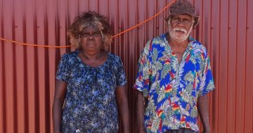 Remote housing push in Northern Territory's Barkly region as more Commonwealth funding is negotiated