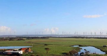 TasCAT overturns enforced five-month annual shutdown of planned Robbins Island Wind Farm