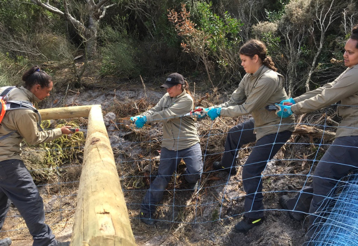 Rangers working on fence scaffolding 