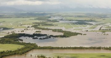 Support extended for councils, businesses and individuals affected by Tropical Cyclone Jasper
