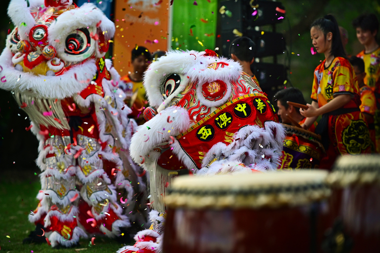 Chinese lion dancing