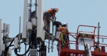 Telstra says new satellite technology will improve mobile coverage in black spot-plagued Riverina