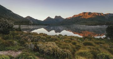 Tasmanian Government calls for consultation on proposed reserve land management improvements