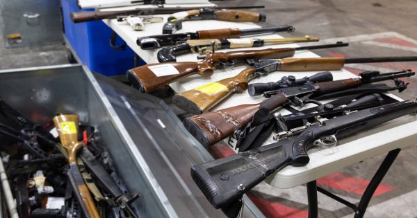 Gun numbers revealed as Labor forced to split bill to get buy-back scheme through parliament