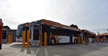 First all-electric bus depot in Victoria opens in Ivanhoe