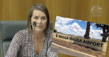 'Privatisation under another name': Senator grills the Commonwealth over Wagga Airport future
