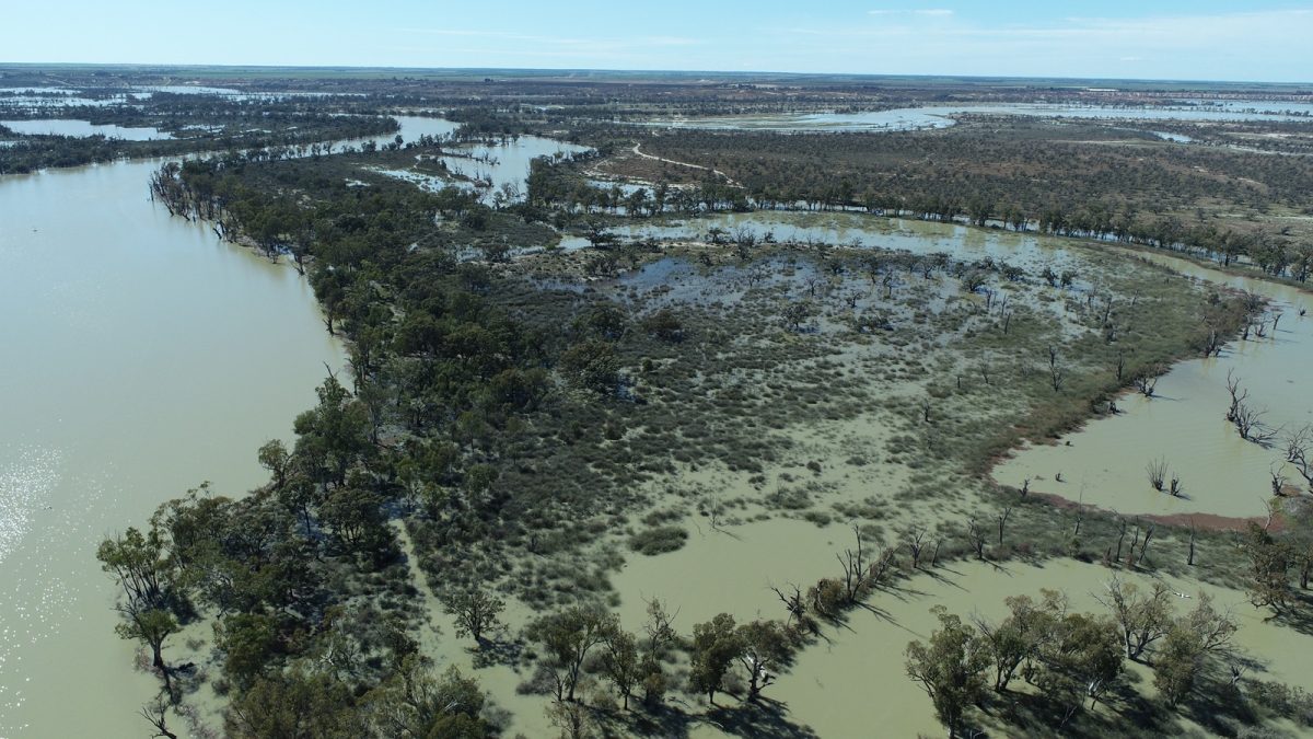 aerial view of flooded river
