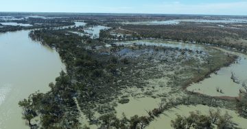Federal and SA governments top up assistance for lower Murray flood victims