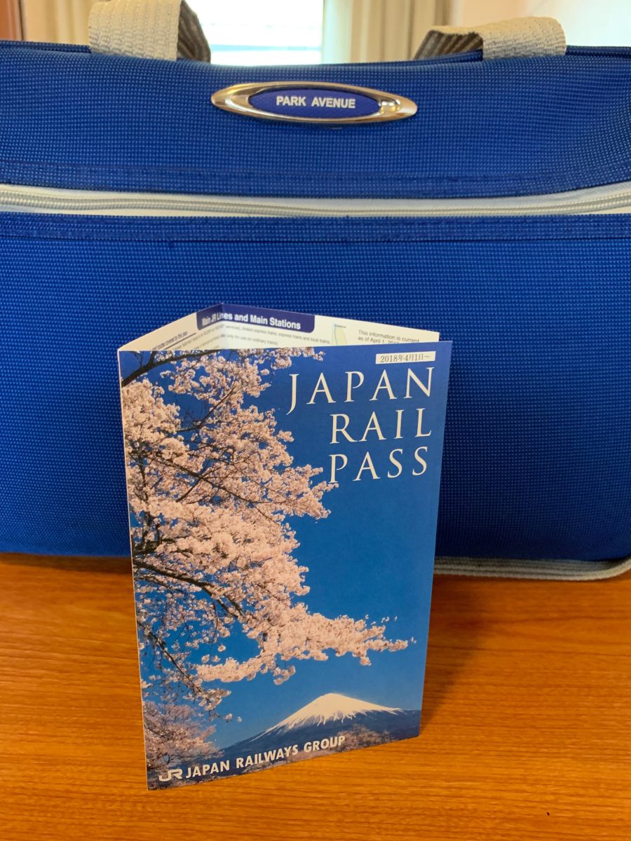 suitcase and travel pass