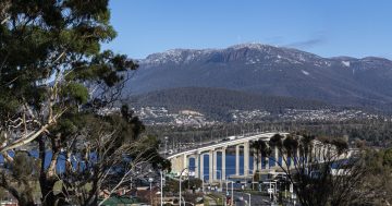 Tasmanian public bus services failing commuters, says report