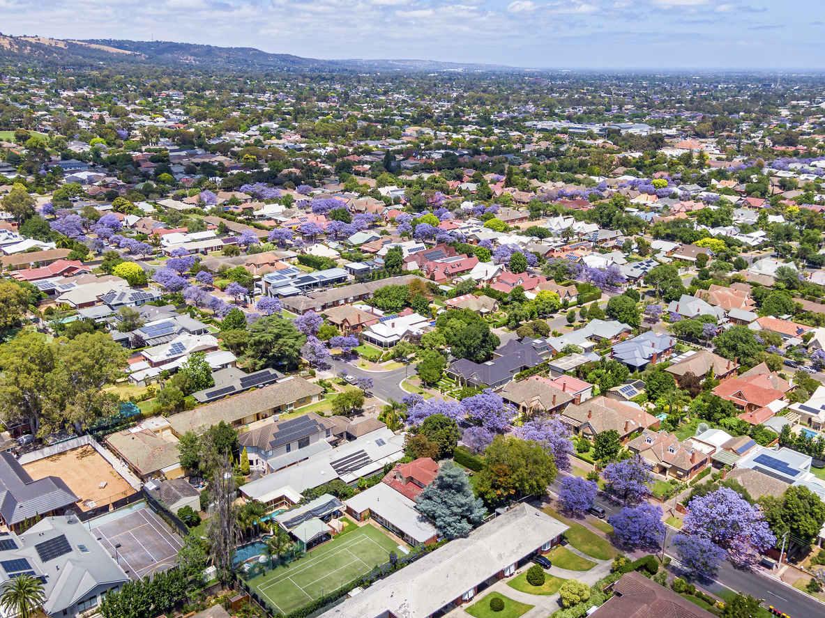 Leafy Eastern suburbs of Adelaide seen from above (drone view) looking south-west to foothills with purple flowering jacaranda: in the distant right of frame is the Burnside Shopping Village and nearby is the Burnside Town Hall.