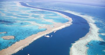 Queensland Government provides $5.5m funding to improve water quality near Great Barrier Reef