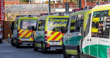Emergency waiting times dashboard launched in Tasmania to tackle ambulance ramping crisis