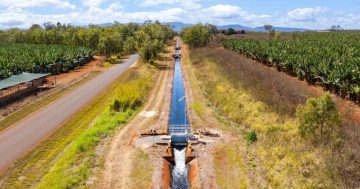 Far North QLD’s Mareeba-Dimbulah irrigation efficiency project exceeds expectations
