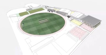 Hobart City Council calls for funding commitments for New Town Sporting Precinct