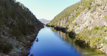 'Largely forgotten' Upper Murrumbidgee River in 'perilous state', governments urged to act