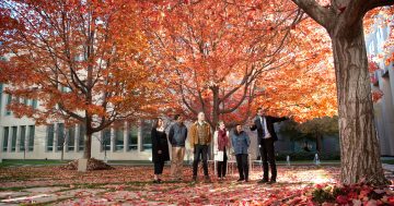 Parliament House to open its secret gardens for stunning autumn tours