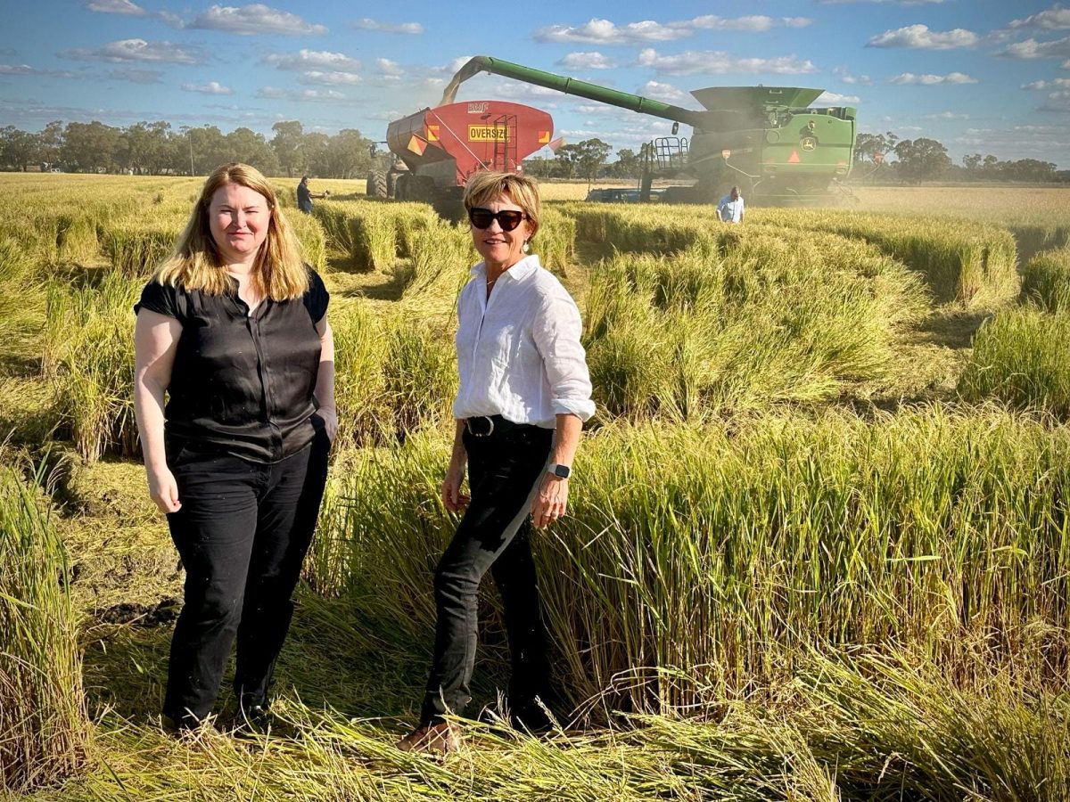 two women on a farm