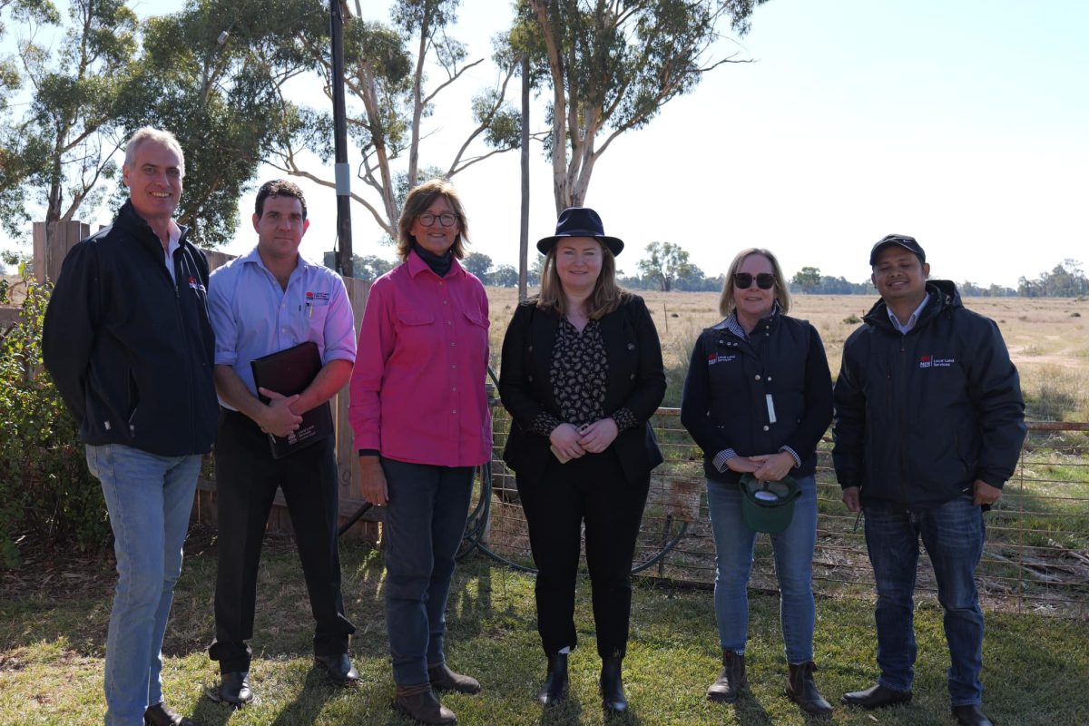 group of people standing in a rural area