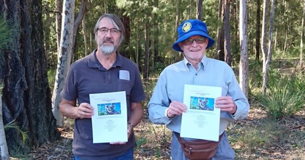 Drones find koalas in natural Eurobodalla habitat after three-year absence