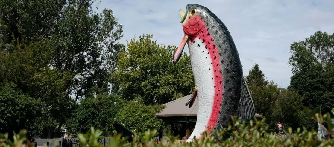 oversized trout icon