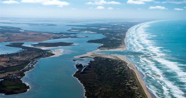 Federal Government commits $17m to improve SA's lower Murray wetlands