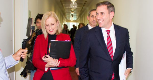 Federal Budget: Treasurer delivers promised tax and energy bill relief, plus cheaper medicine