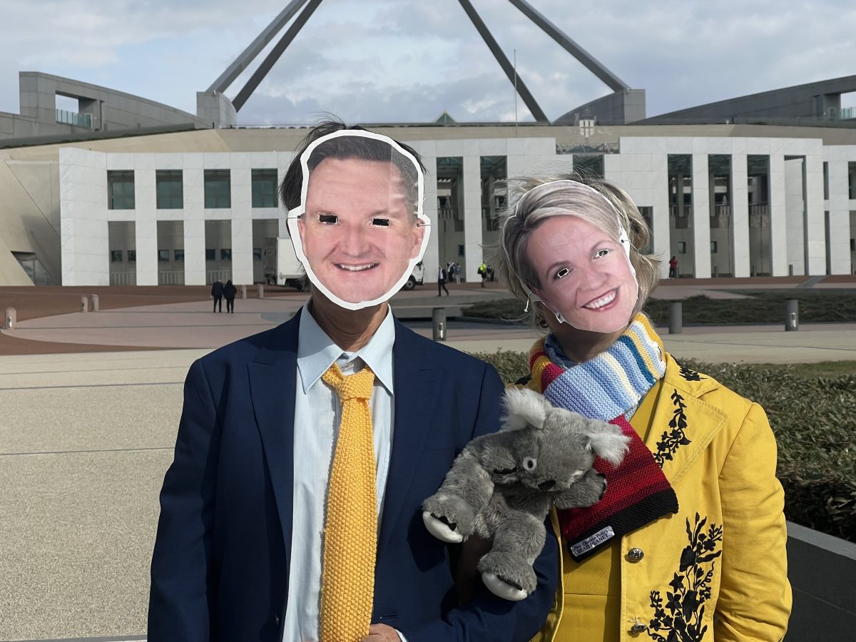 Two individuals dressed up as Chris Bowen and Tanya Plibersek standing outside Parliament House