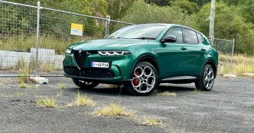 An Alfa for the modern millennial, they say? Don't let that put you off