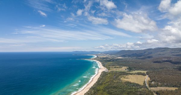 Bob Brown Foundation condemns move to change State Coastal Policy