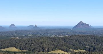 QLD Government to add 12,000 hectares of state forests to protected area estate