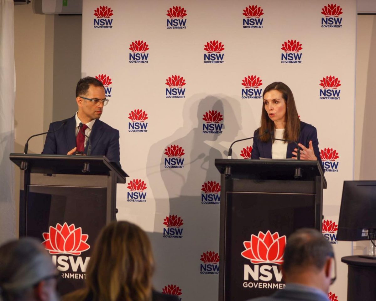 A male politician and a female one standing at lecterns and giving a press conference 